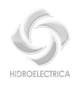 Câștiguri de la investitorii noștri în timp real